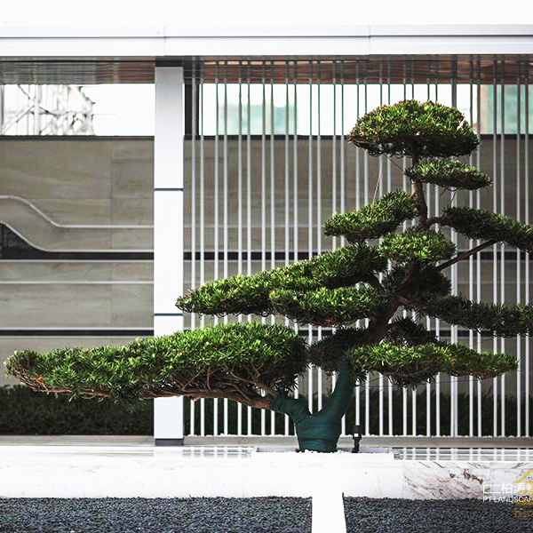 安徽小区园林绿化工程是如何搭配小区的植物？