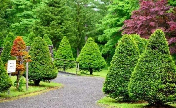 景观工程 景观工程